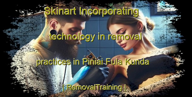 Skinart Incorporating technology in removal practices in Piniai Fula Kunda | RemovalTraining | RemovalClasses | SkinartTraining-Gambia